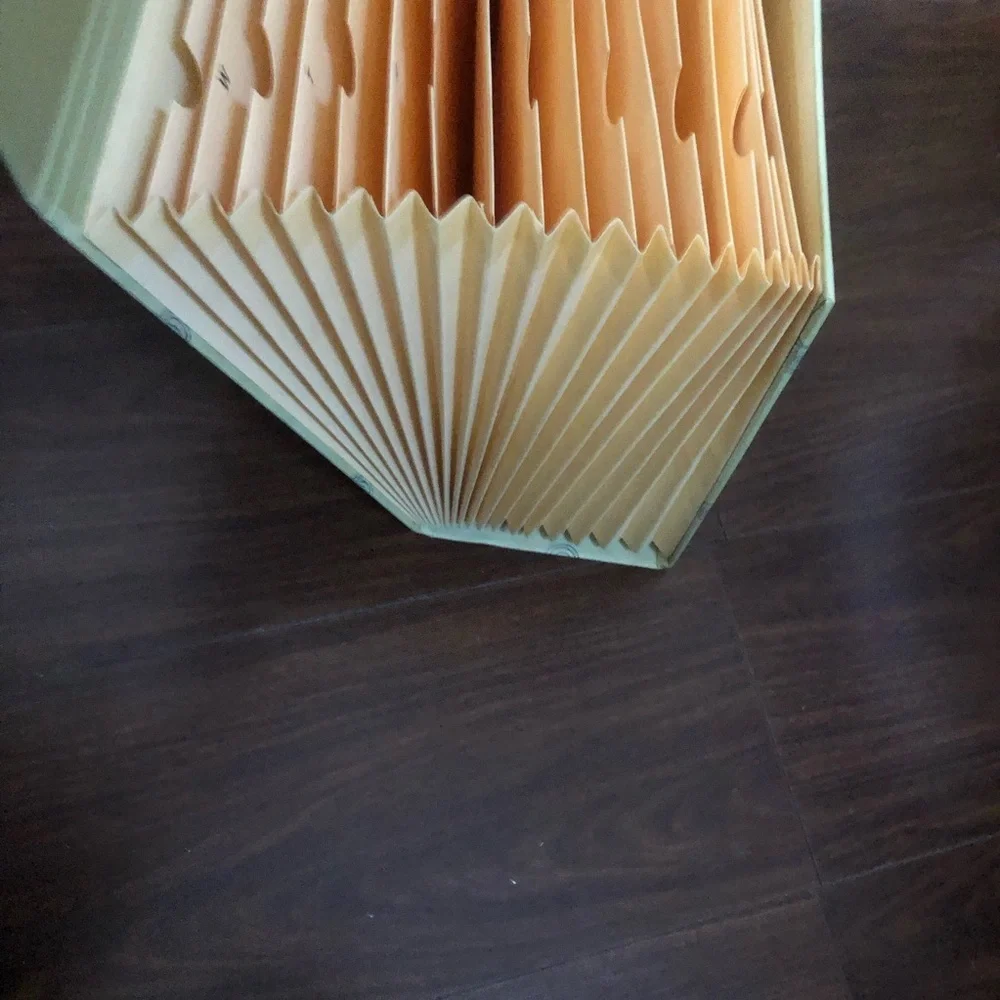 ⭐️File Organizer!⭐️